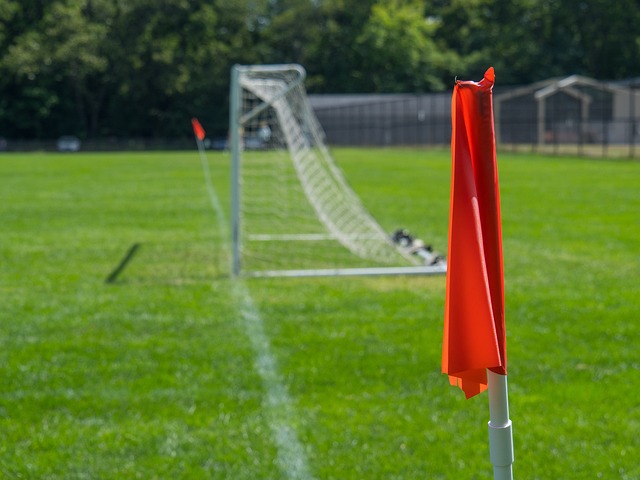 每当广东队 每当广东队