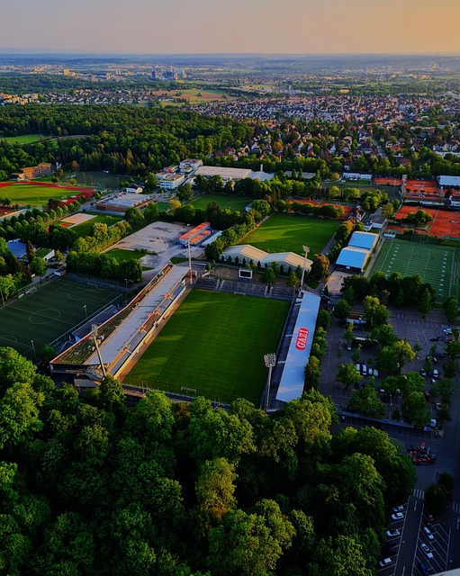 了强劲动力 了强劲动力