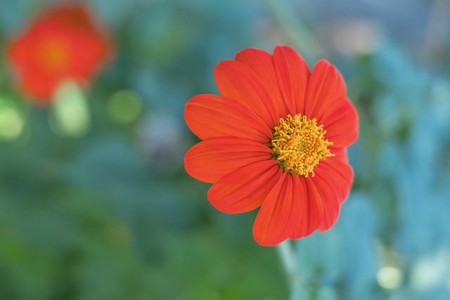 分钟的时间 分钟的时间