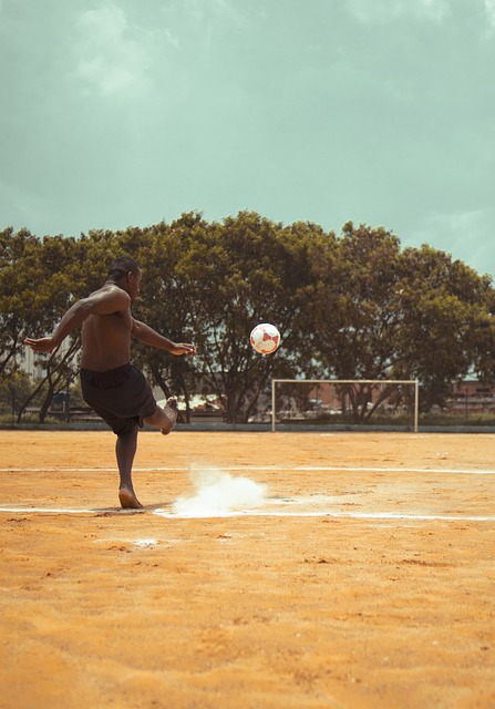 作和发展 作和发展